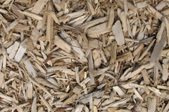biomass boilers Brynteg