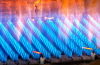 Brynteg gas fired boilers